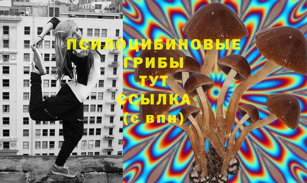 дживик Богородицк