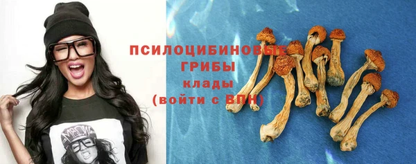 экстази Белокуриха