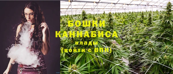 молекула духа Белоозёрский