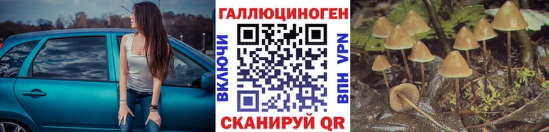 кракен как зайти  Белово  Галлюциногенные грибы Magic Shrooms 